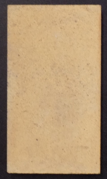 Oranier Viking Bodenstein rechts A