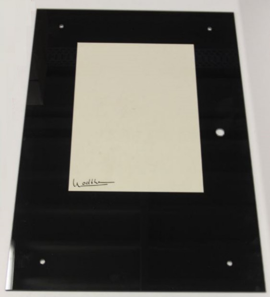 Wodtke Toyo Tür-Dekorglas