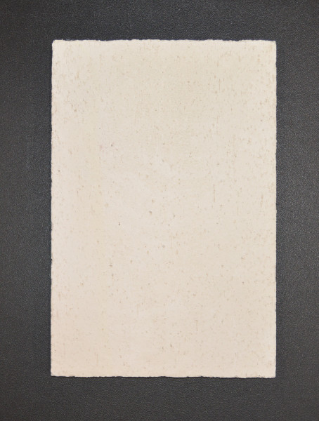 Drooff Bellano Rückwandstein B