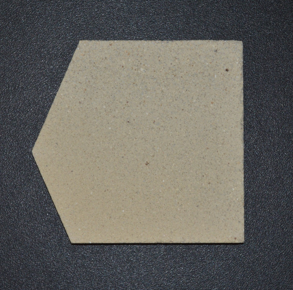 Lotus M1 Bodenstein links B