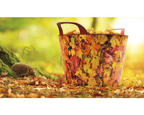 Lienbacher Holzkorb Herbstdekor